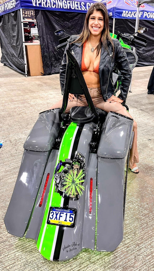 HD Bagger and fender kit 6