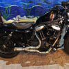 BAD LANDS Exhaust For Harley-Davidson Iron And Sportster